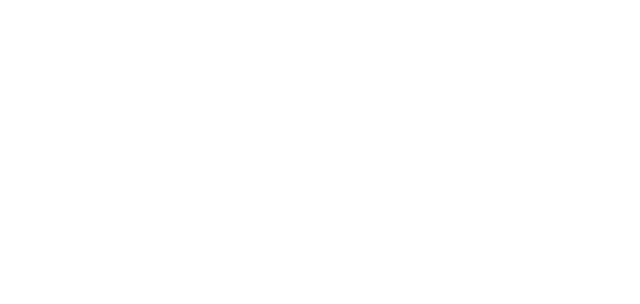 Rebel Fund II